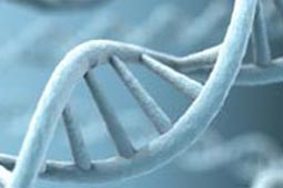 数据恢复工具的免费攻击网站